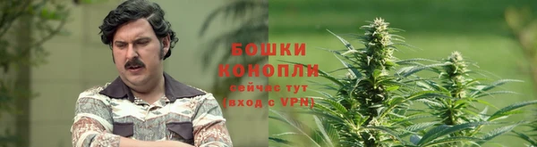 соль ск Майский