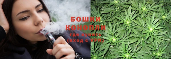 индика Лиски