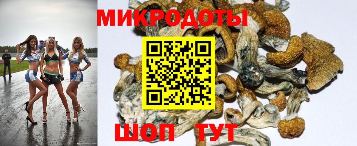 Галлюциногенные грибы мицелий Курганинск