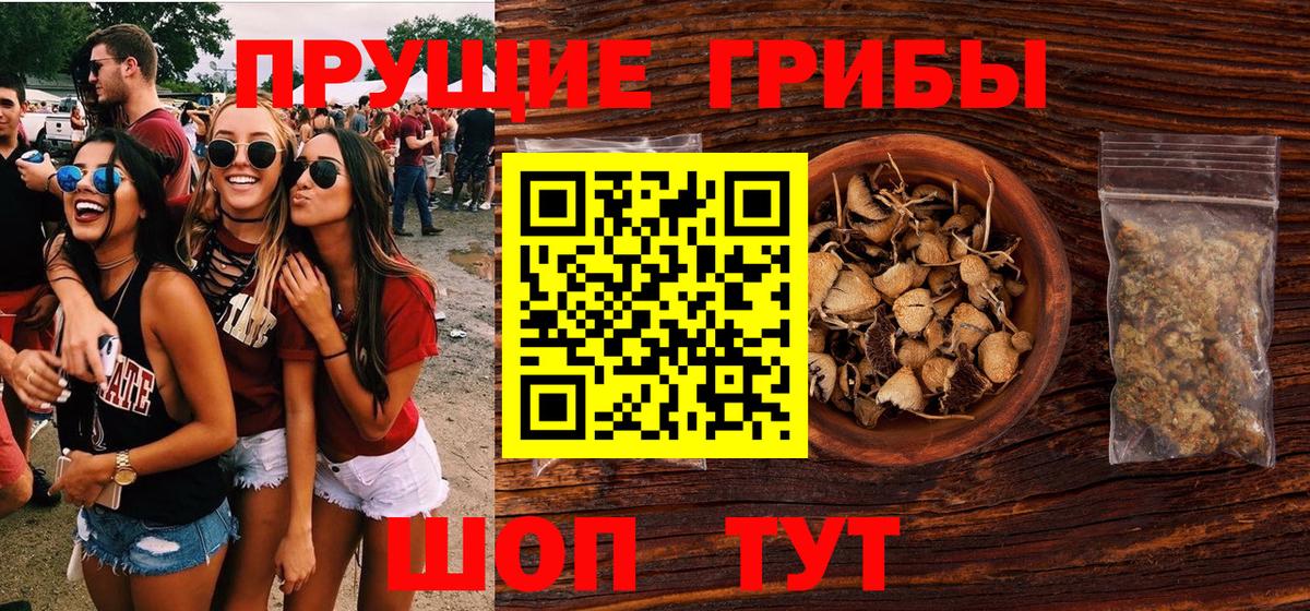 Галлюциногенные грибы ЛСД  Галлюциногенные грибы Psilocybine cubensis  Вход с VPN  Курганинск 